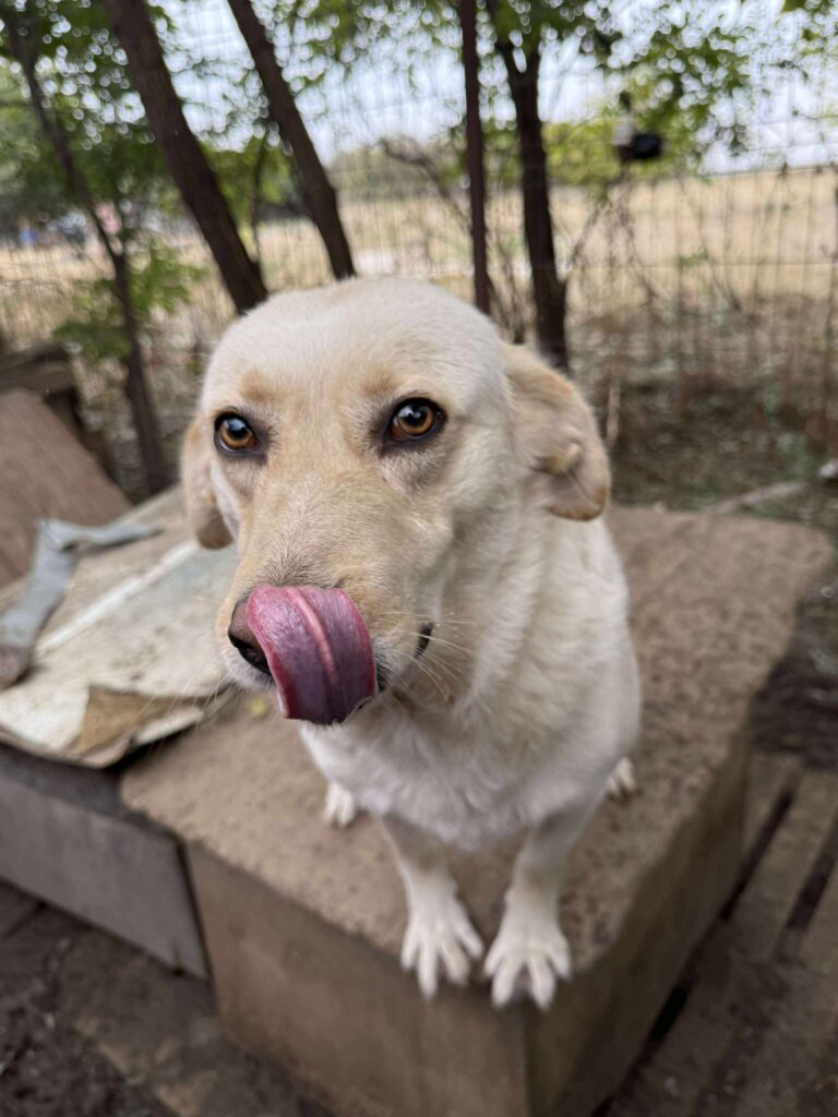 Received 1159503916056625