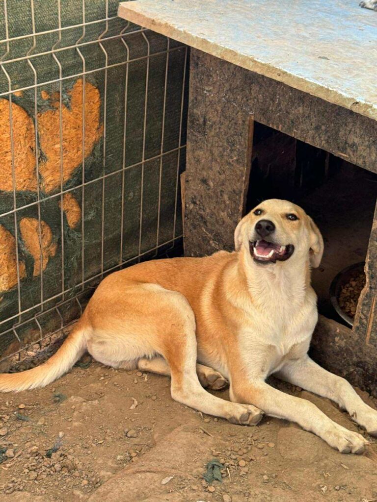 Received 1160948395931089