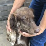 Received 1164278619086171