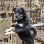 Received 1212971947516577