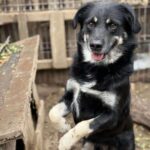 Received 1228769175959950