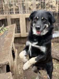 Received 1228769175959950