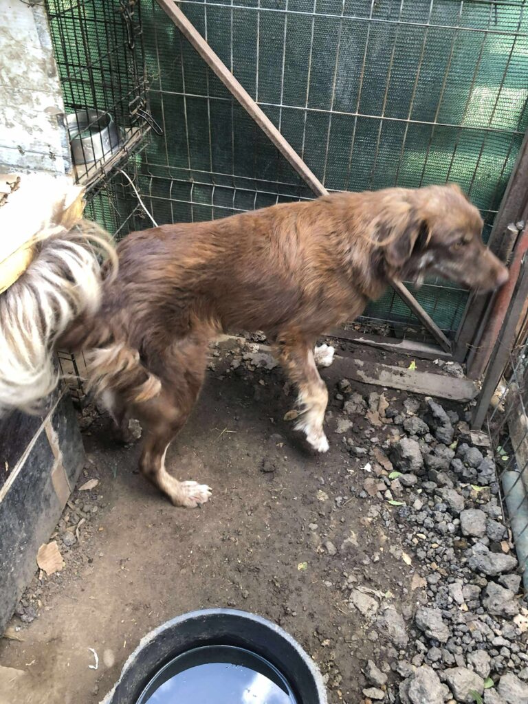 Received 1231675908985788