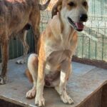 Received 1241989997953054