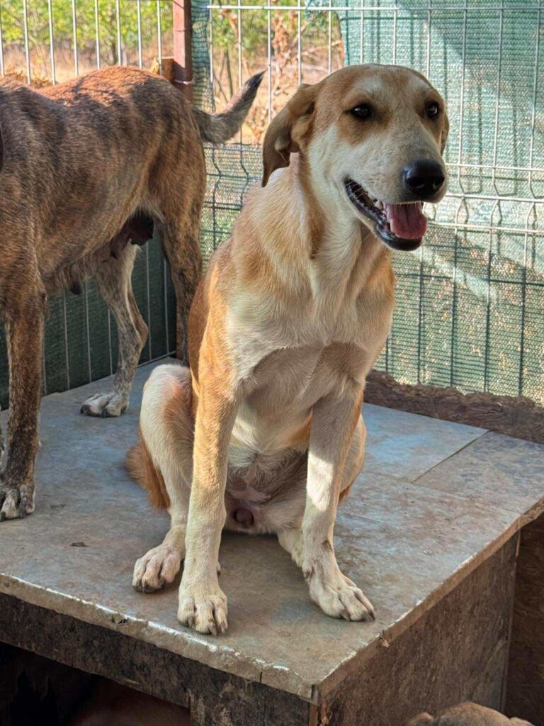 Received 1241989997953054