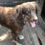 Received 1285929520210018