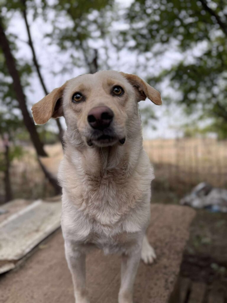 Received 1294544281962892