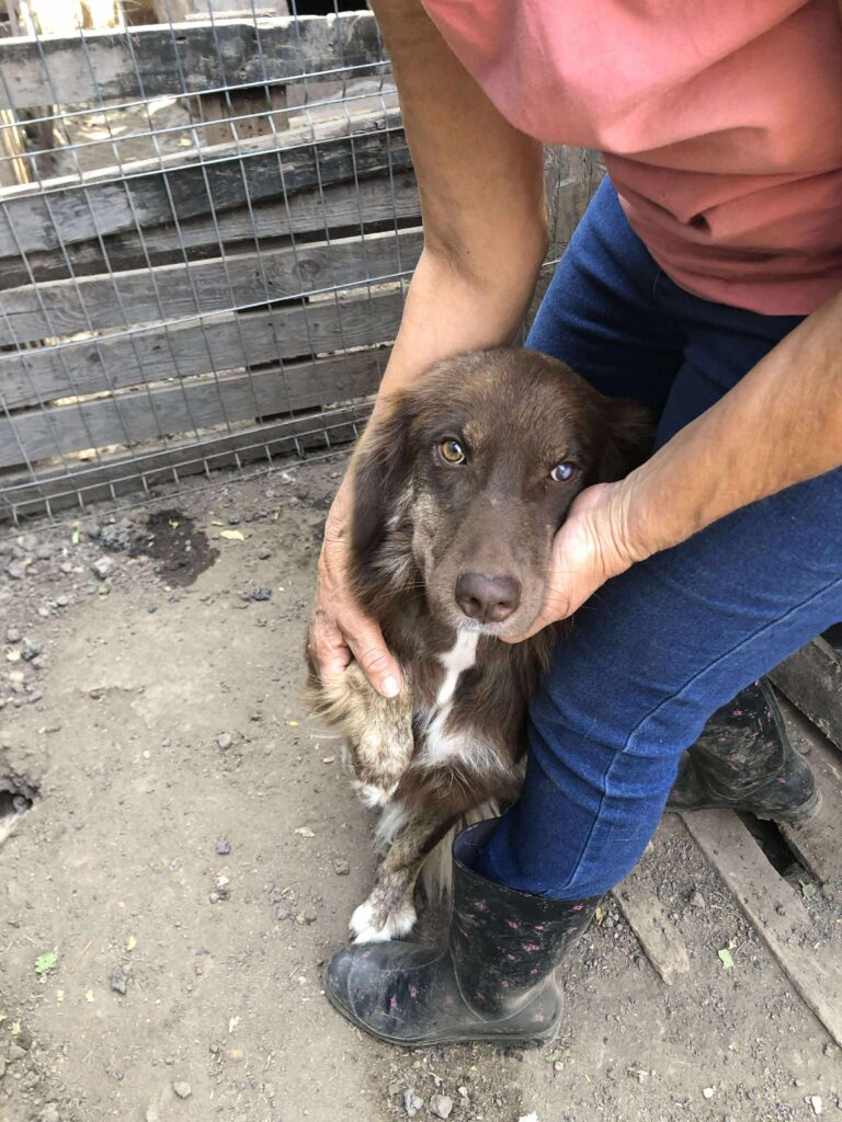 Received 1315462473694616