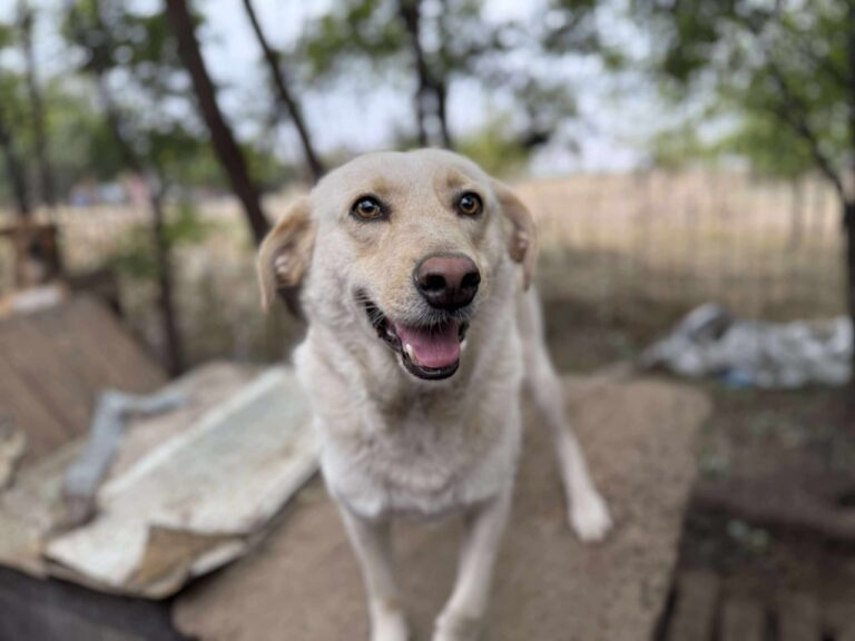 Received 1317300426699214