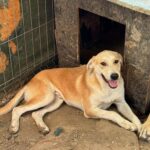 Received 1473926970527335