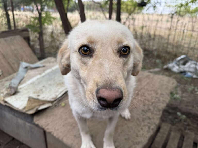 Received 1482760466720998