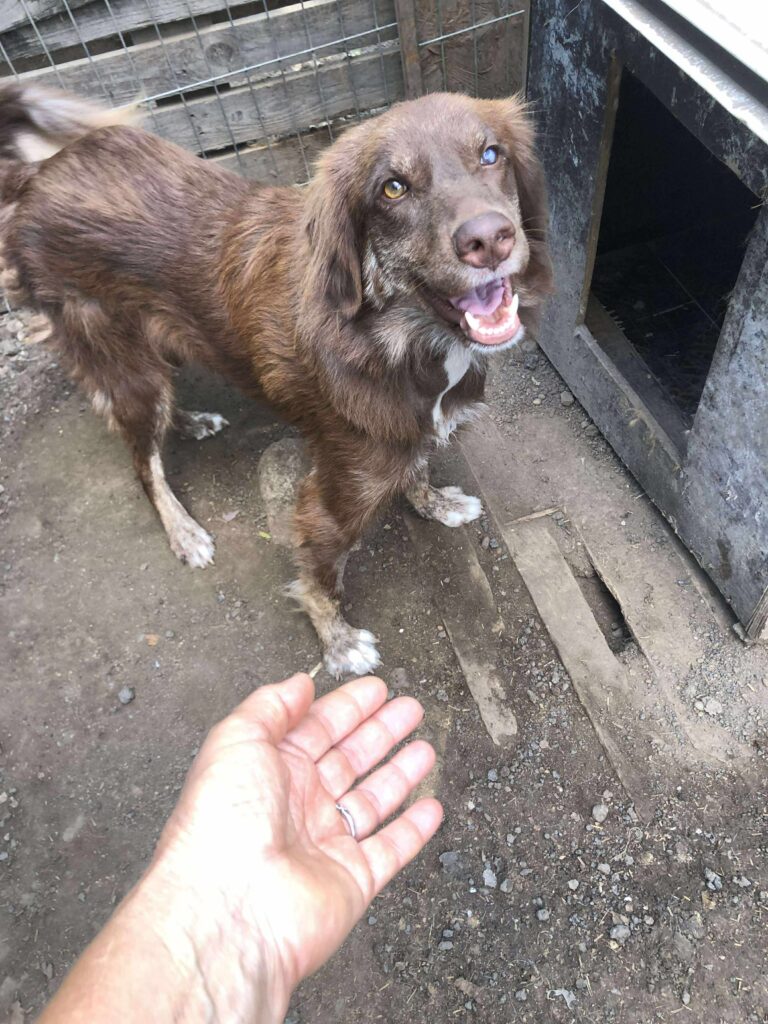 Received 1503818967289357