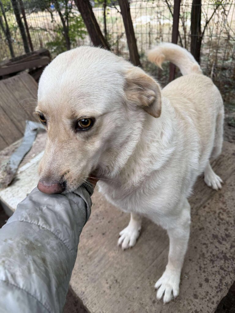 Received 1548430269486032