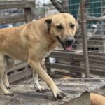 Received 1725929401452330