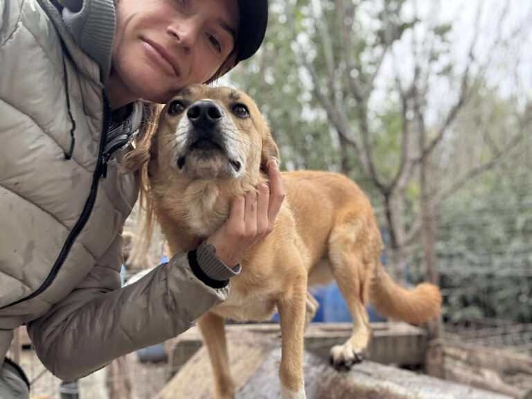 Received 1769706137009895