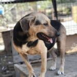 Received 1816445022639338