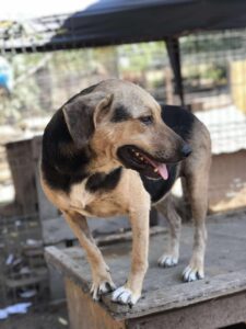 Received 1816445022639338