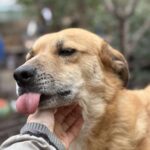 Received 1827139911266016