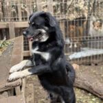 Received 1974679386631158