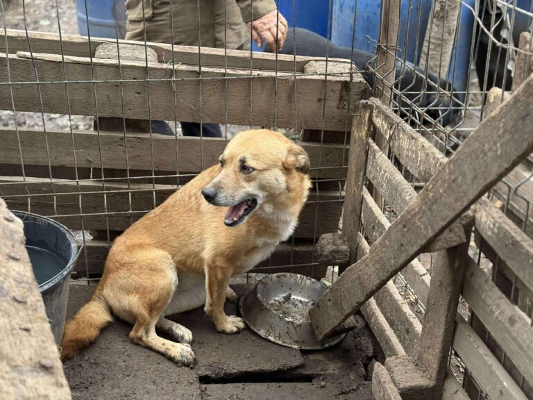 Received 2054436591629584