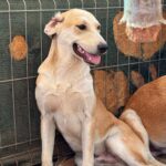 Received 24487474027610714