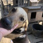 Received 2558902347778317