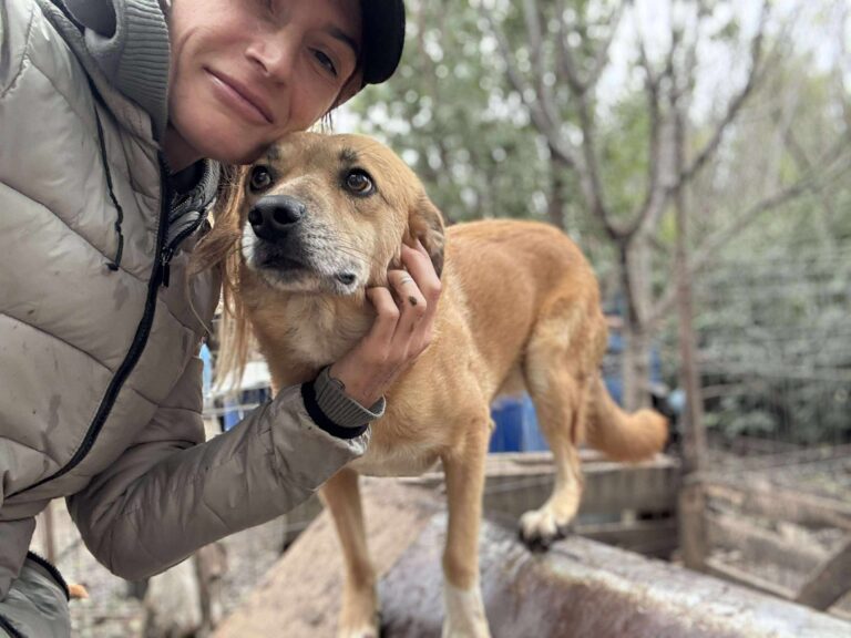 Received 3086823018155715