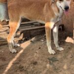 Received 3330098310482418