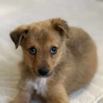 Received 4322006274749592