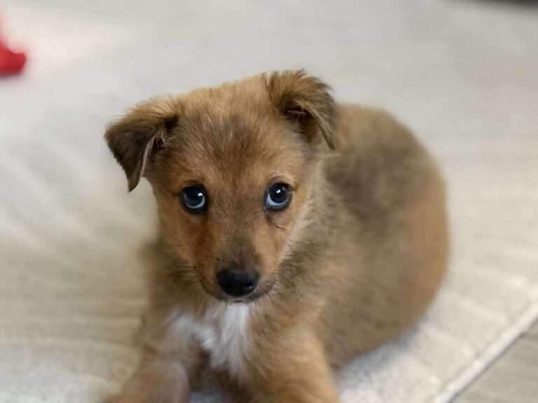 Received 4322006274749592