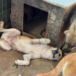 Received 646946181823902