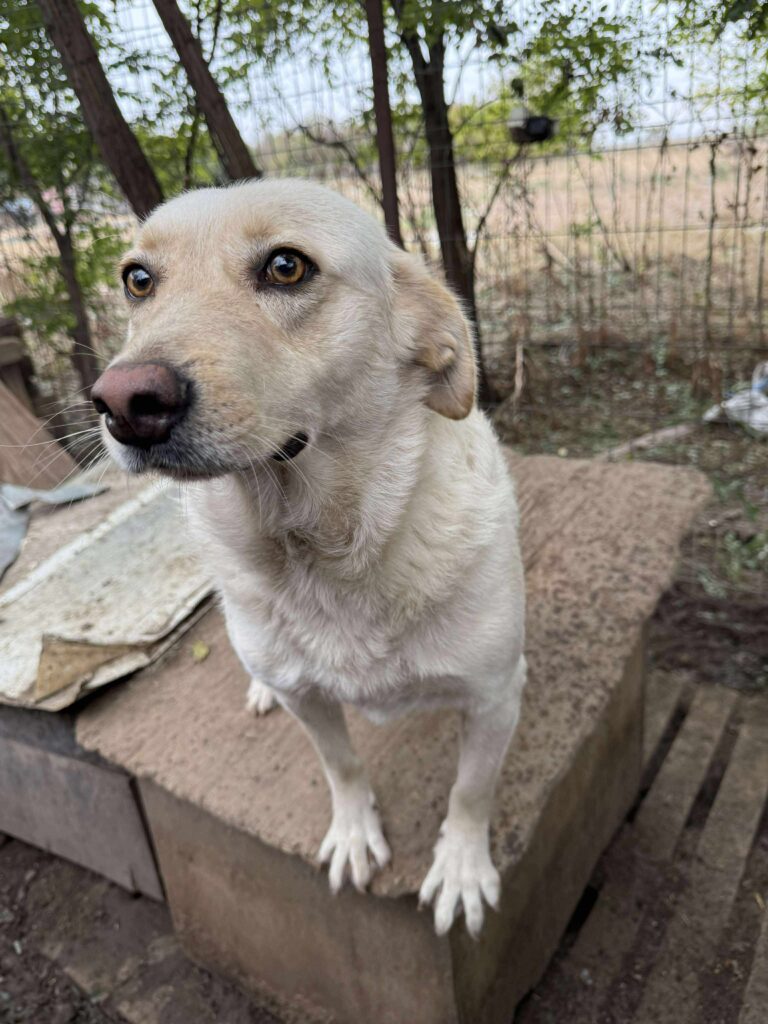 Received 687218460526170