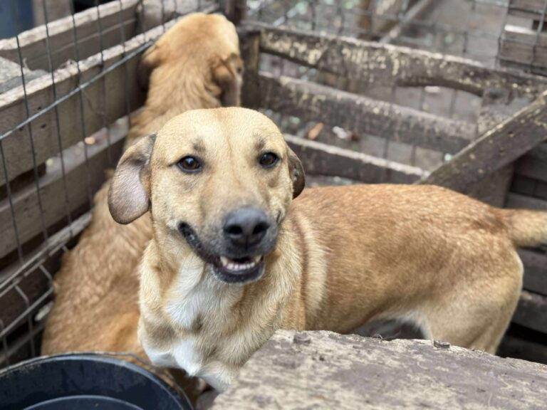 Received 687342317167278