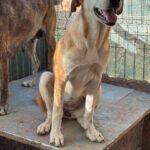 Received 718425707323216