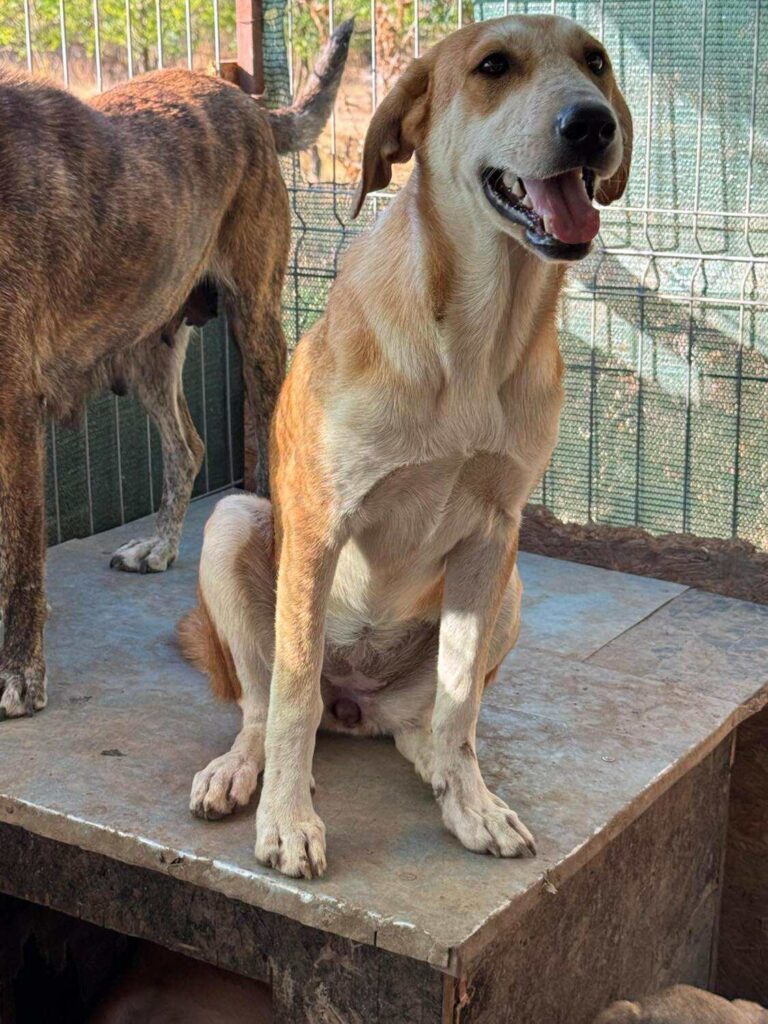 Received 718425707323216