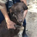 Received 753782264238105