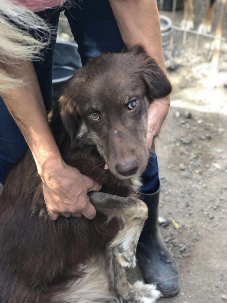 Received 753782264238105