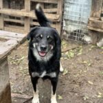 Received 758901933807780