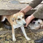 Received 766346829576241