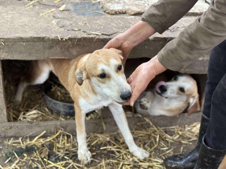 Received 766346829576241