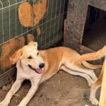 Received 767829646012506