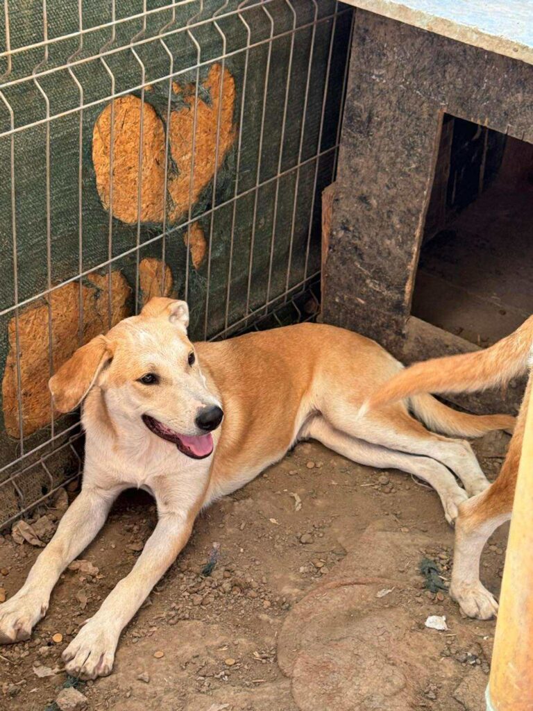 Received 767829646012506