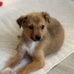 Received 773545478818680