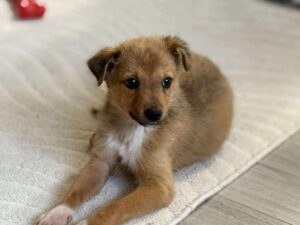 Received 773545478818680