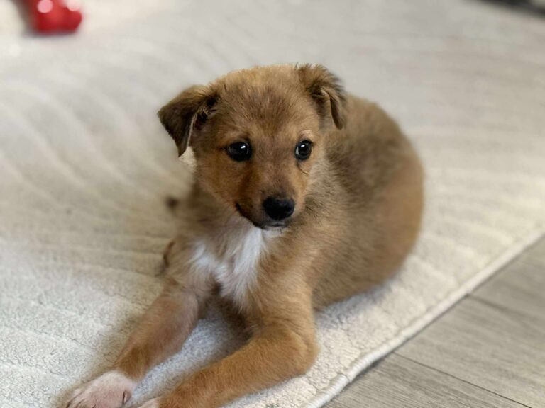 Received 773545478818680