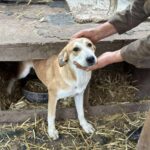 Received 780403124955205