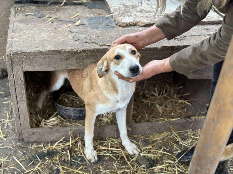 Received 780403124955205