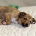 Received 780847537899441