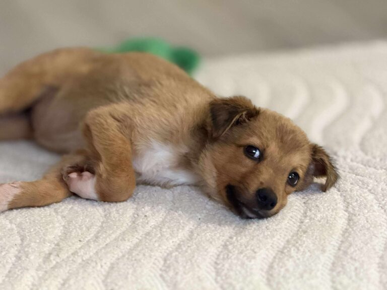 Received 780847537899441