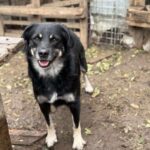 Received 785643694391032